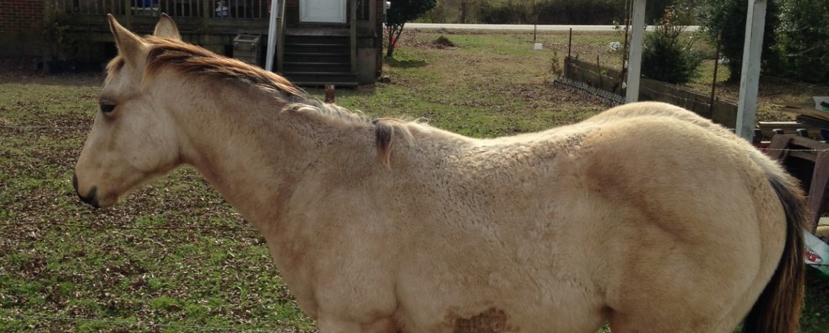 2013 MJ bkskn yrl pic