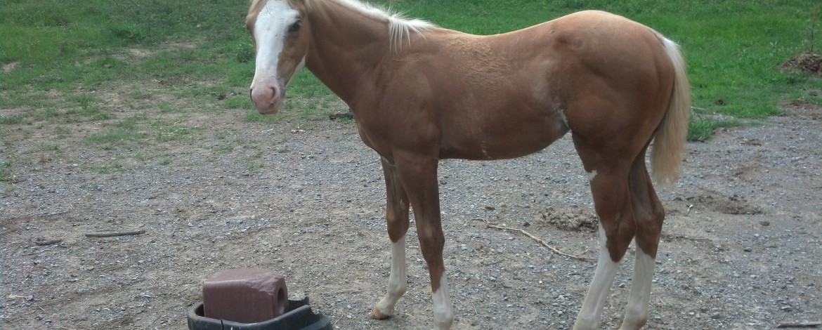 IMG_20130726_183535_677