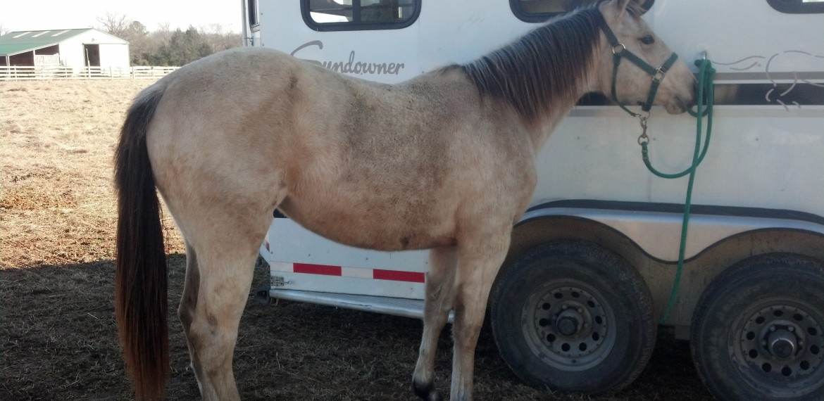 IMG_20131231_141948_393