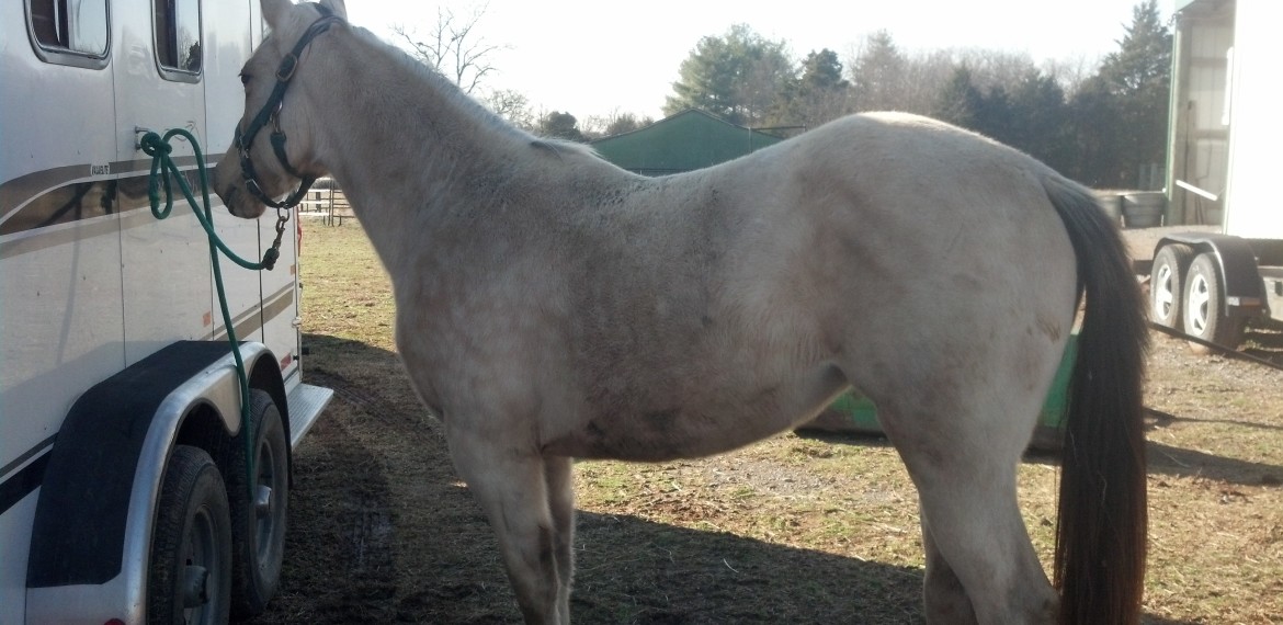 IMG_20131231_142105_349