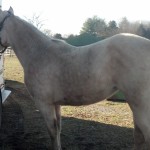 IMG_20131231_142105_349