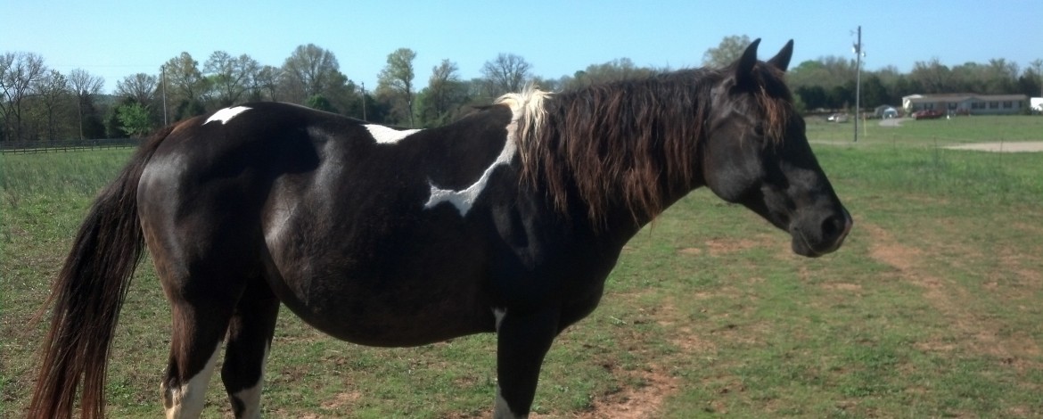 IMG_20140426_091140_133