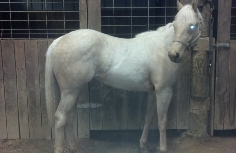 IMG_20140505_221312_339