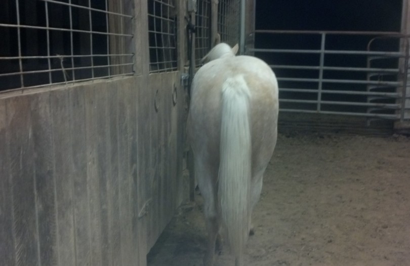 IMG_20140505_221329_339