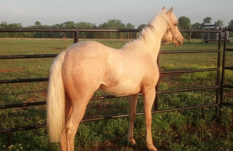 IMG_20140511_185953_432