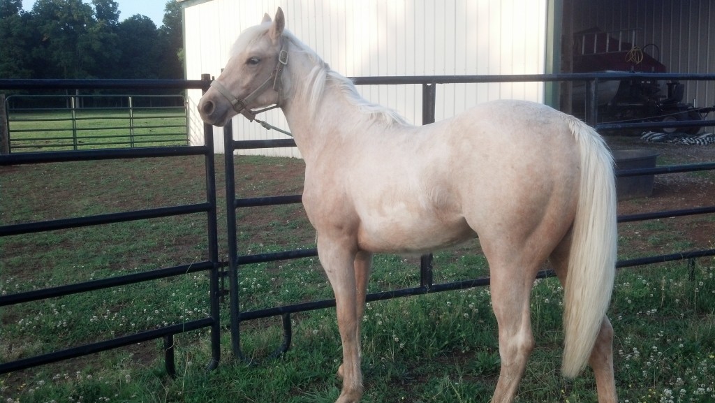 IMG_20140511_190341_705