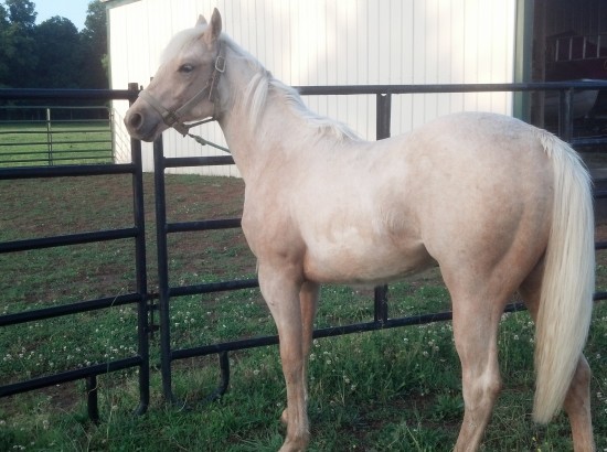 IMG_20140511_190341_705