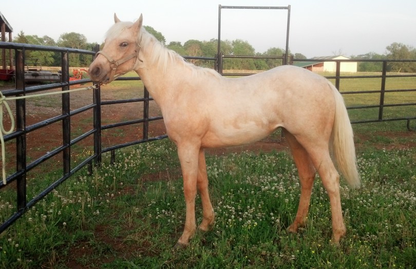 IMG_20140511_190543_218