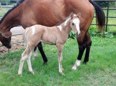 IMG_20140517_162325_818