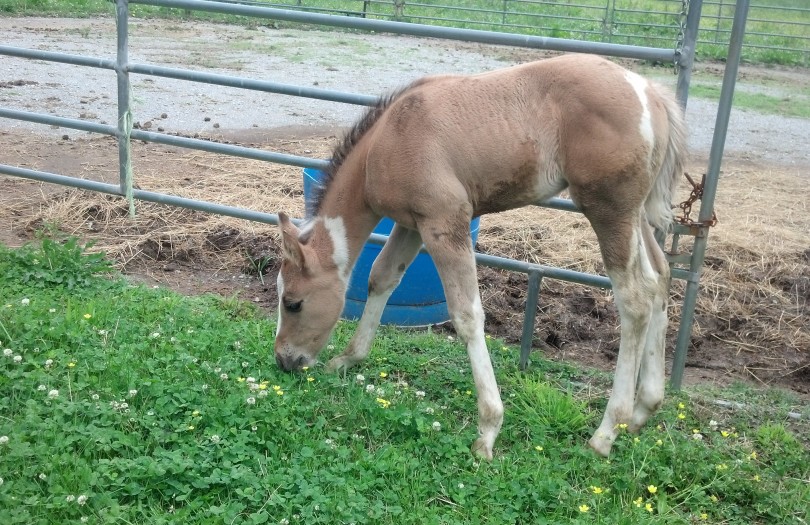 IMG_20140517_162705_727