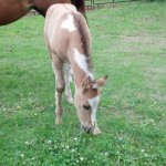 IMG_20140517_162756_759