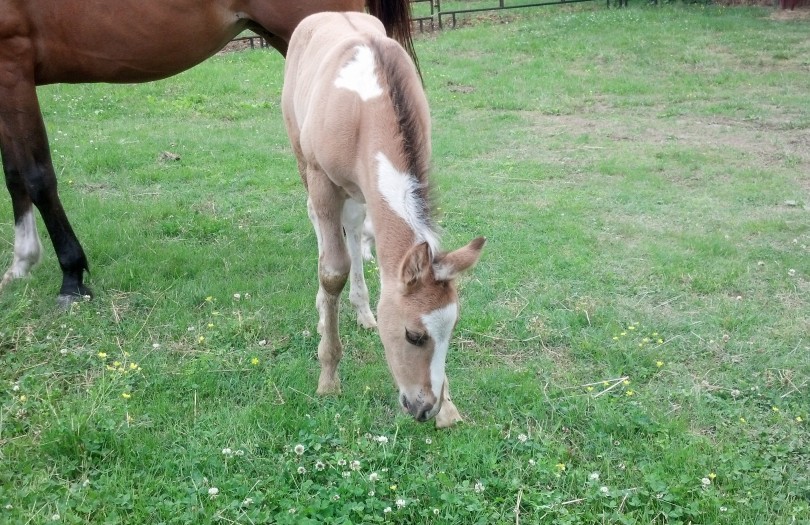 IMG_20140517_162756_759