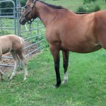 IMG_20140517_162843_572