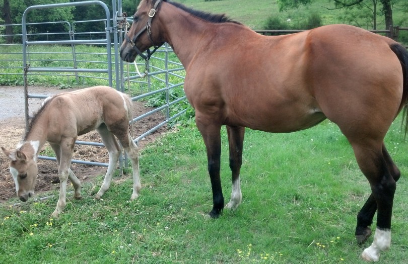 IMG_20140517_162843_572