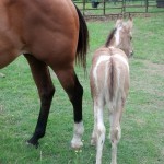 IMG_20140517_162913_036