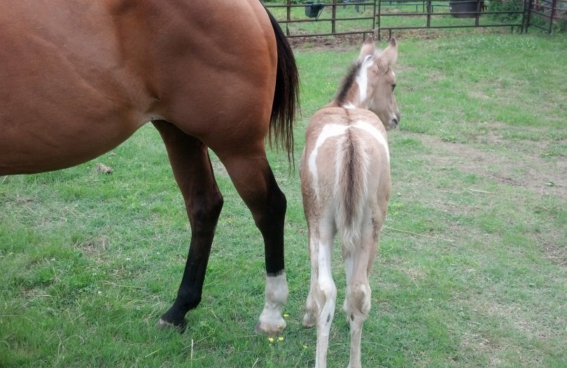 IMG_20140517_162913_036