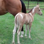 IMG_20140517_162916_954