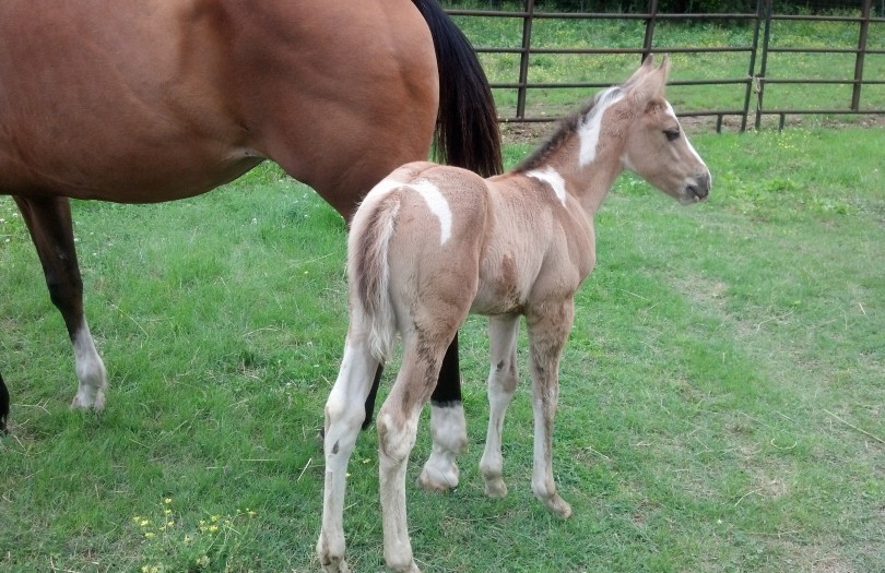 IMG_20140517_162916_954