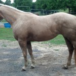 IMG_20140529_185124_699