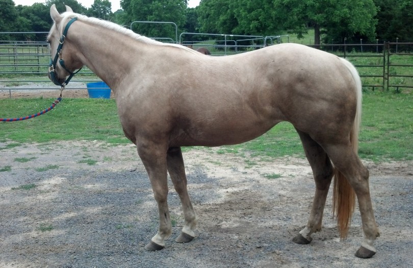 IMG_20140529_185124_699