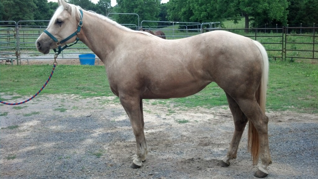 IMG_20140529_185140_388