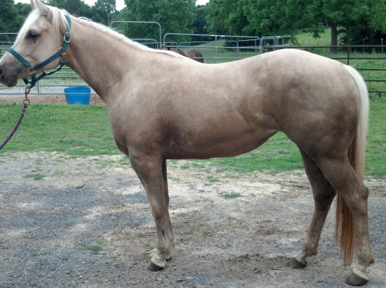 IMG_20140529_185140_388