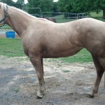 IMG_20140529_185140_388