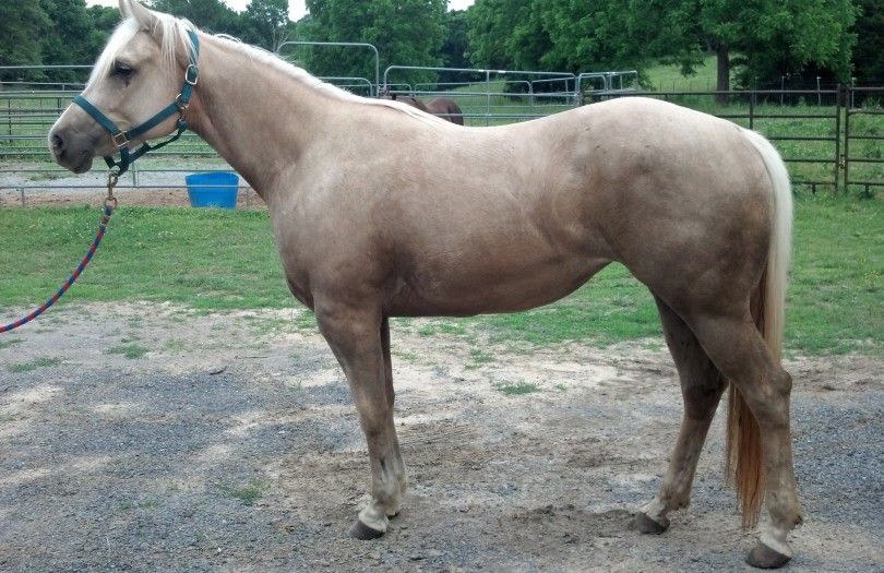 IMG_20140529_185140_388