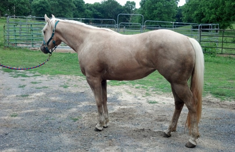 IMG_20140529_185146_622