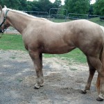 IMG_20140529_185150_207