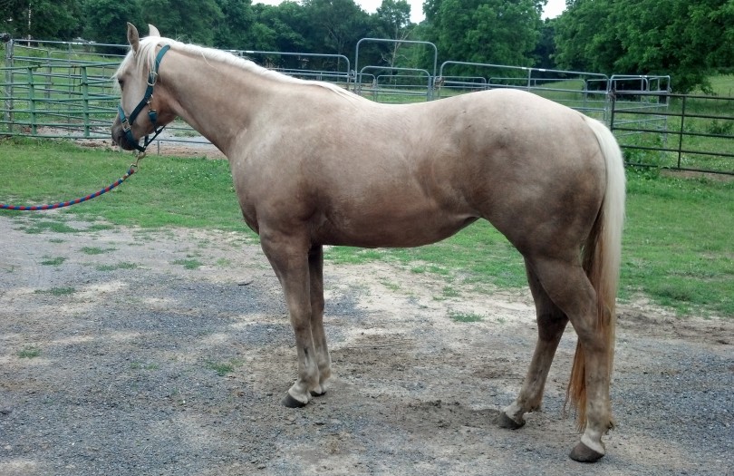 IMG_20140529_185150_207