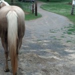 IMG_20140529_185206_742