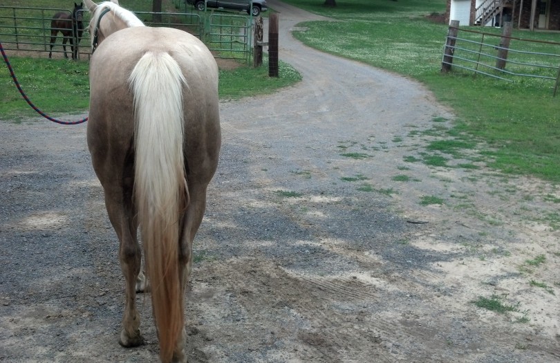 IMG_20140529_185206_742