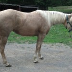 IMG_20140529_185310_442