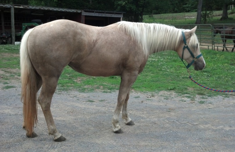 IMG_20140529_185310_442