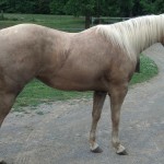 IMG_20140529_185323_030