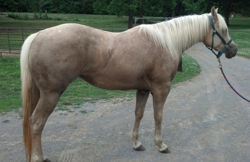 IMG_20140529_185323_030