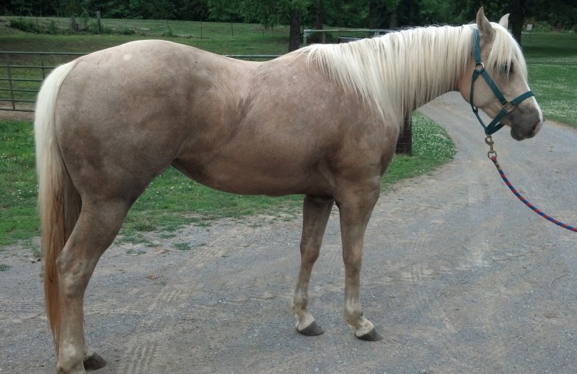 IMG_20140529_185325_607