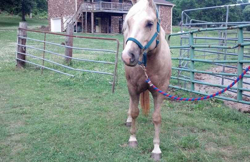 IMG_20140529_185451_395