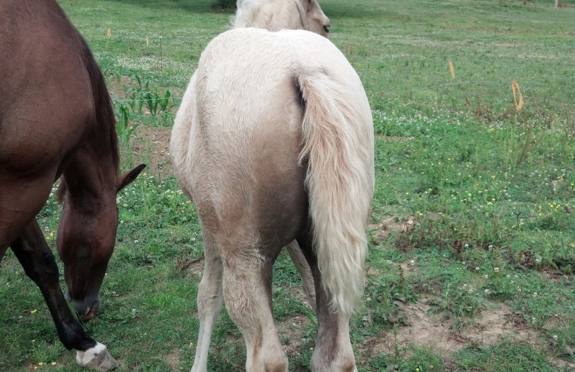 IMG_20140604_165818_020