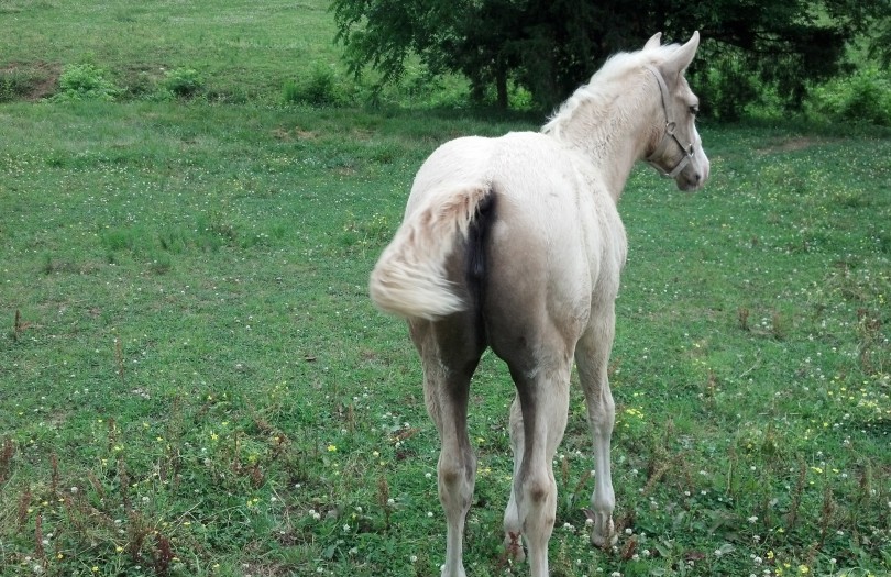 IMG_20140604_165838_138