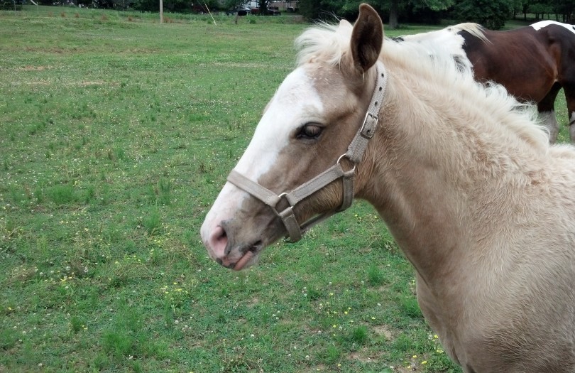 IMG_20140604_170018_708