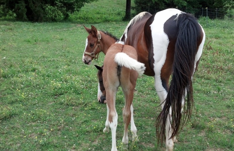 IMG_20140604_170338_489