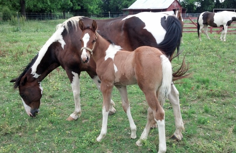 IMG_20140604_170343_239