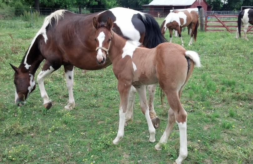 IMG_20140604_170346_570