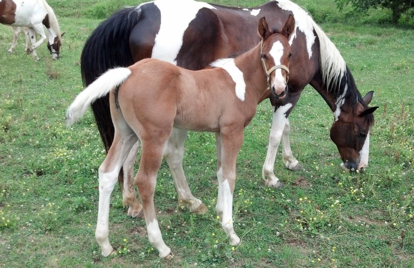 IMG_20140604_170420_546