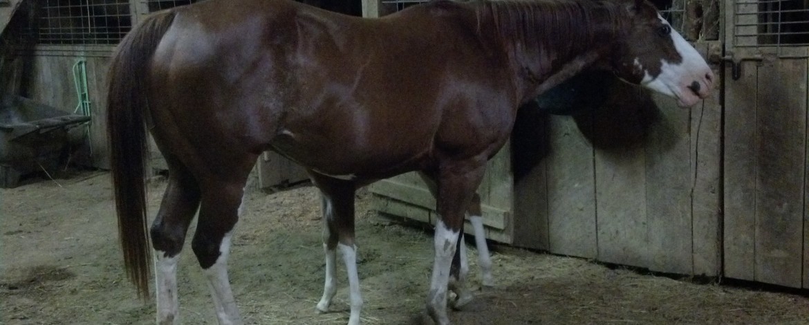 IMG_20140608_212157_508