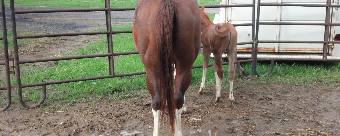 IMG_20140611_181538_680