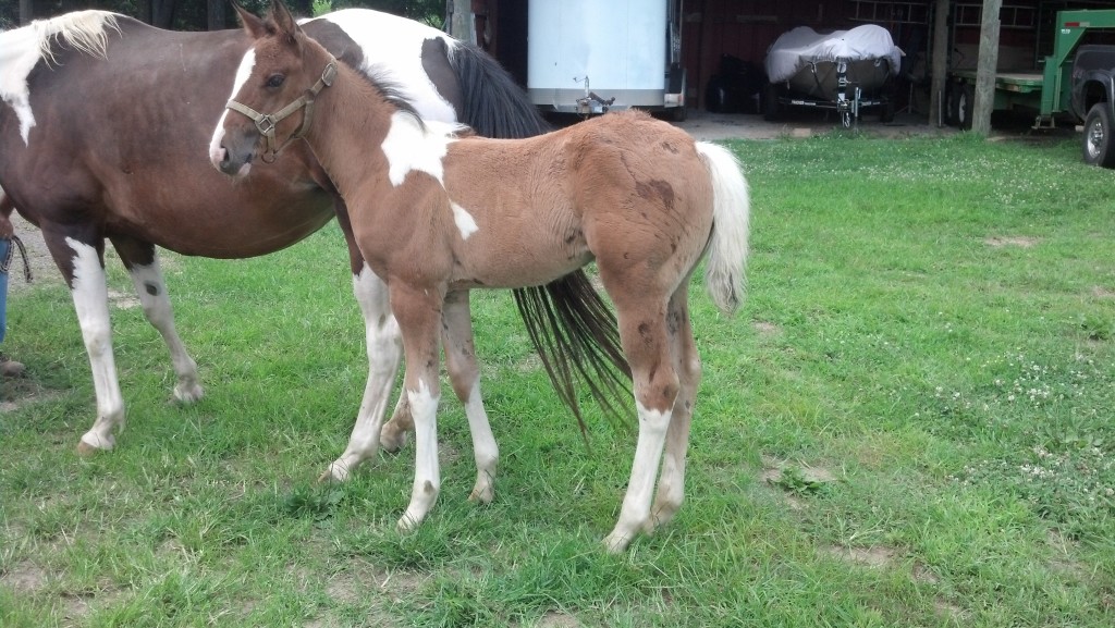 IMG_20140703_170820_306