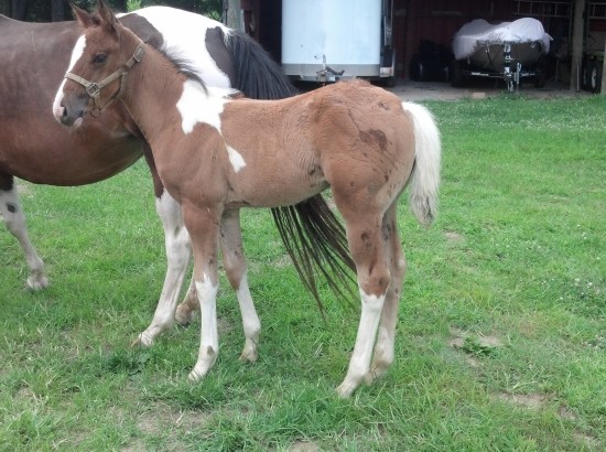 IMG_20140703_170820_306